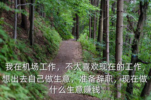 我在機(jī)場工作，不太喜歡現(xiàn)在的工作，想出去自己做生意，準(zhǔn)備辭職，現(xiàn)在做什么生意賺錢