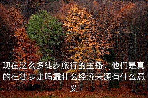 現在這么多徒步旅行的主播，他們是真的在徒步走嗎靠什么經濟來源有什么意義