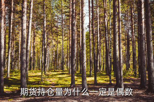 期貨持倉量為什么一定是偶數