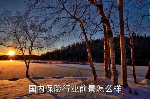 2015年保險行業怎么樣,國內保險行業前景怎么樣