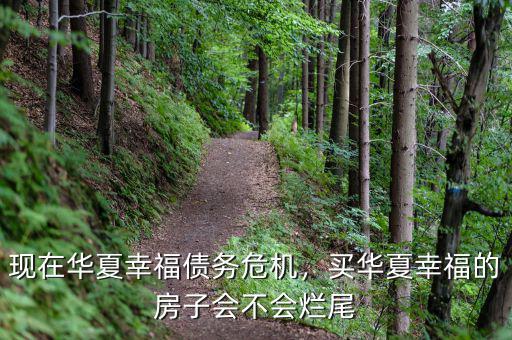 現(xiàn)在華夏幸福債務(wù)危機，買華夏幸福的房子會不會爛尾