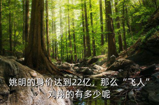 姚明的身價(jià)達(dá)到22億，那么“飛人”劉翔的有多少呢