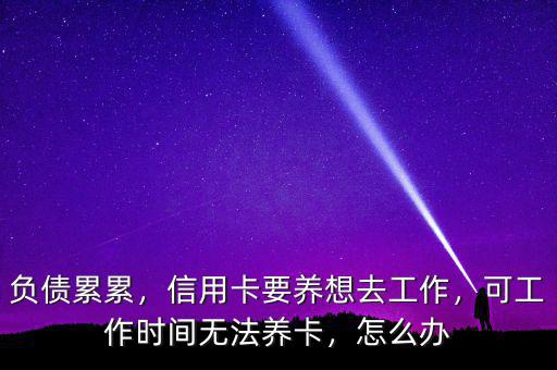 信用卡養卡需要多少本錢,欠信用卡30萬