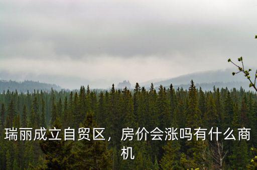 天津自貿區什么時候批,瑞麗成立自貿區