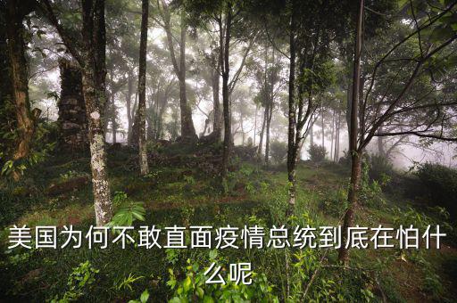 美國為何不敢直面疫情總統到底在怕什么呢