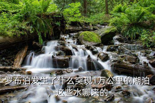 羅布泊鹵水是什么,羅布泊近年來出現的鹵水湖