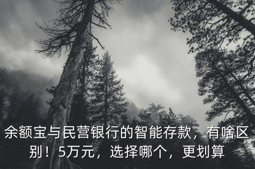 余額寶與民營銀行的智能存款，有啥區別！5萬元，選擇哪個，更劃算