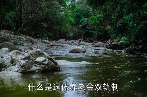 什么是退休養老金雙軌制