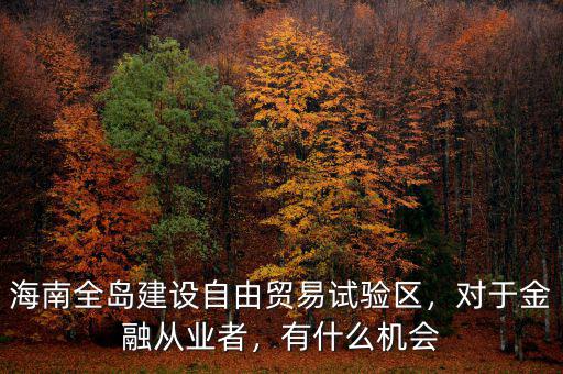 海南全島建設自由貿易試驗區，對于金融從業者，有什么機會