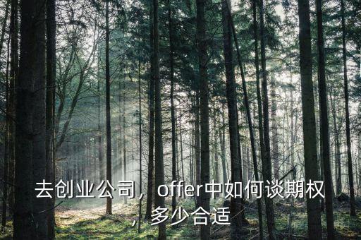 去創業公司，offer中如何談期權，多少合適