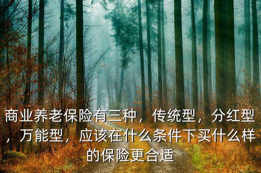 什么是傳統型保險,商業養老保險有三種