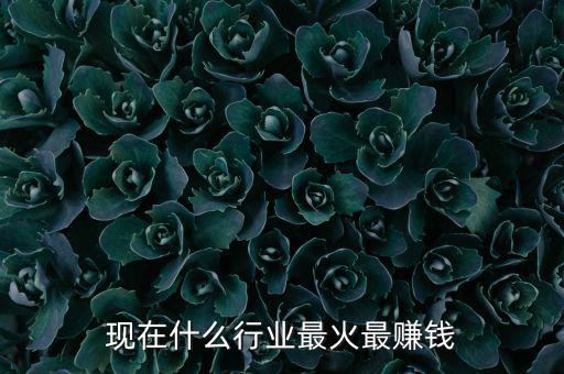 現在什么行業最火最賺錢