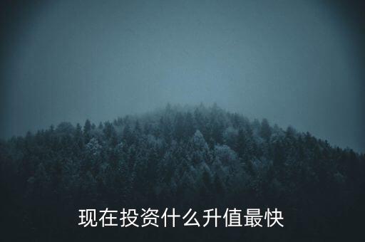 現在投資什么升值最快