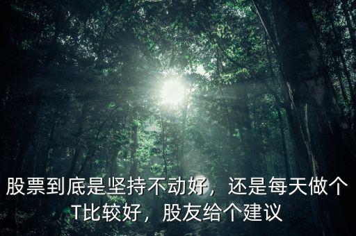 股票到底是堅持不動好，還是每天做個T比較好，股友給個建議