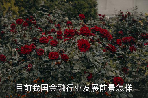 目前我國金融行業發展前景怎樣