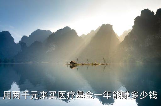 用兩千元來買醫療基金一年能賺多少錢