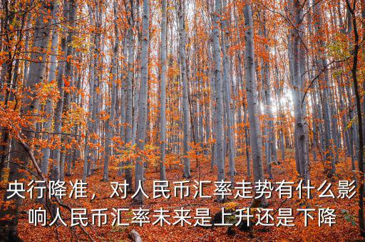 央行降準，對人民幣匯率走勢有什么影響人民幣匯率未來是上升還是下降