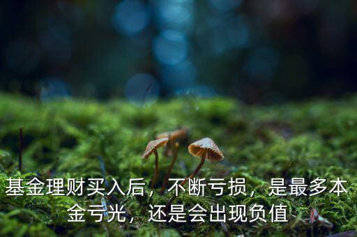 基金理財買入后，不斷虧損，是最多本金虧光，還是會出現(xiàn)負(fù)值