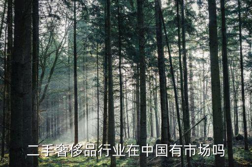 奢侈品公司為什么看重中國市場(chǎng),為什么更看重網(wǎng)上銷售