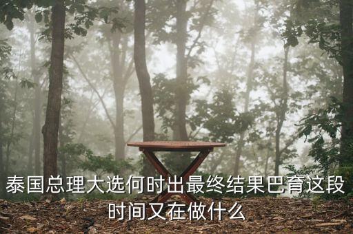 泰國總理大選何時出最終結果巴育這段時間又在做什么