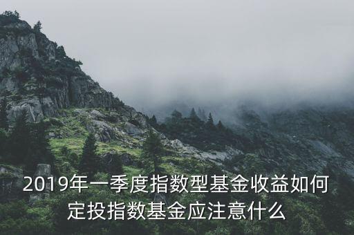 2019年一季度指數型基金收益如何定投指數基金應注意什么