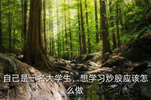 自己是一名大學生，想學習炒股應該怎么做