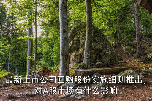 最新上市公司回購(gòu)股份實(shí)施細(xì)則推出，對(duì)A股市場(chǎng)有什么影響