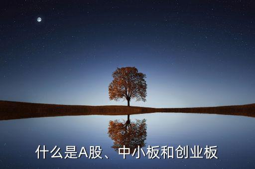 什么是A股、中小板和創業板