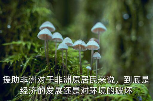 援助非洲對于非洲原居民來說，到底是經(jīng)濟的發(fā)展還是對環(huán)境的破壞