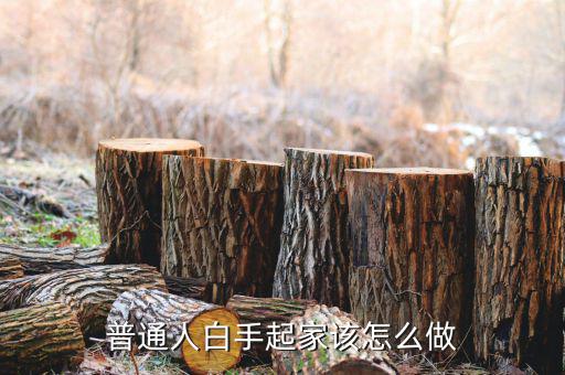 it企業怎么白手起家,如何白手起家掙到100萬