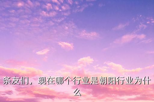 現在朝陽行業是什么,現在在我國還處于朝陽行業