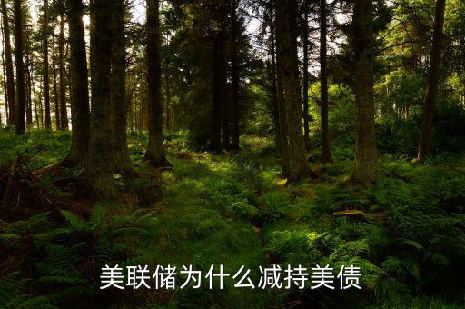 美聯儲為什么減持美債