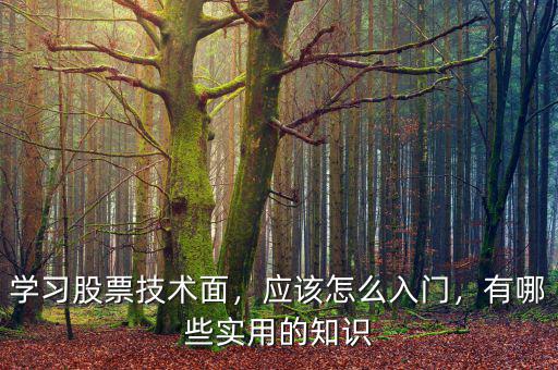 學習股票技術面，應該怎么入門，有哪些實用的知識