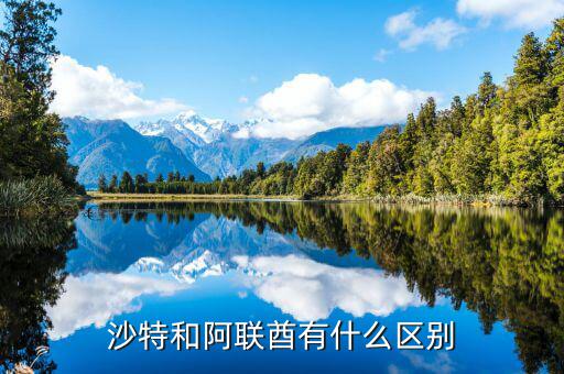 沙特和阿聯酋有什么區別