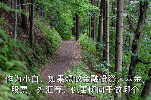 作為小白，如果想做金融投資，基金，股票，外匯等，你更傾向于做哪個