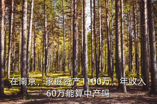 南京年收入多少算中產,月薪多少才能算是中產