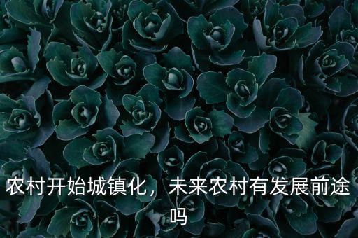 農村開始城鎮化，未來農村有發展前途嗎