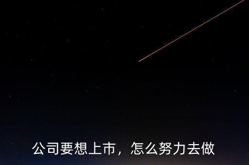 公司要想上市，怎么努力去做