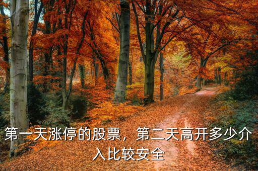 收什么形態的股票第二天易漲停,第一天漲停的股票