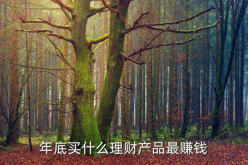 年底買什么理財產品最賺錢
