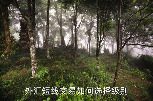 外匯怎么做好日內短線交易,如何做優秀的外匯短線交易者