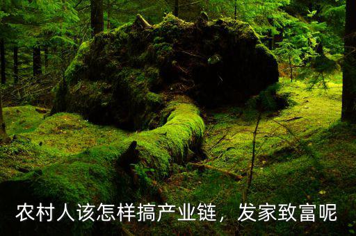 農村人該怎樣搞產業鏈，發家致富呢