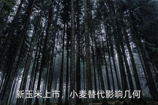 新玉米上市，小麥替代影響幾何