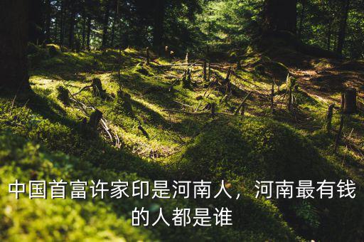 許家印是個什么樣的人,許家印是怎樣發家的