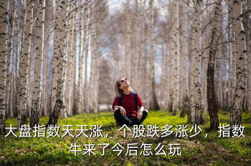 大盤指數天天漲，個股跌多漲少，指數牛來了今后怎么玩