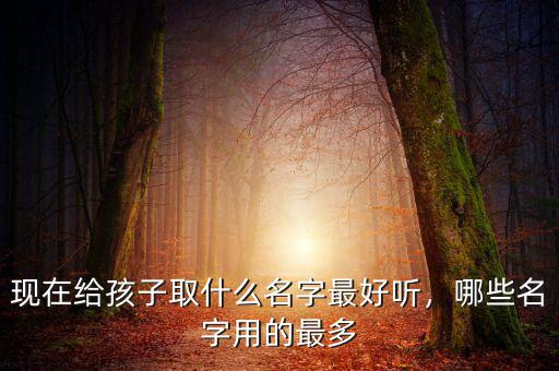 馮佳什么名字好聽,現在給孩子取什么名字最好聽