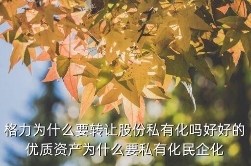 為什么私有化,聚美優品為什么私有化