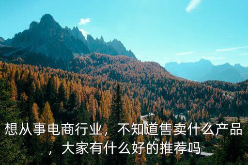想從事電商行業(yè)，不知道售賣什么產(chǎn)品，大家有什么好的推薦嗎