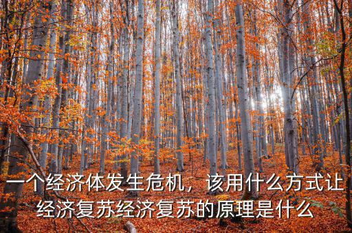 一個經濟體發生危機，該用什么方式讓經濟復蘇經濟復蘇的原理是什么