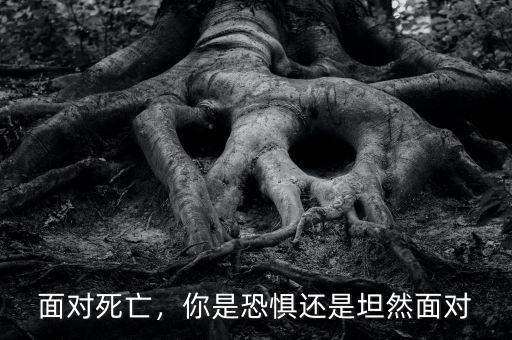 面對死亡，你是恐懼還是坦然面對